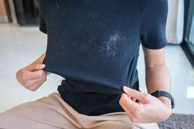 Pet hair clinging to a dark shirt